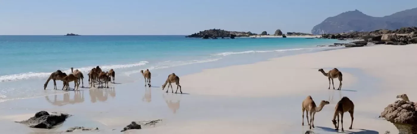 Oman Mare: I Paradisi Nascosti Che Nessuno Ti Ha Mai Raccontato